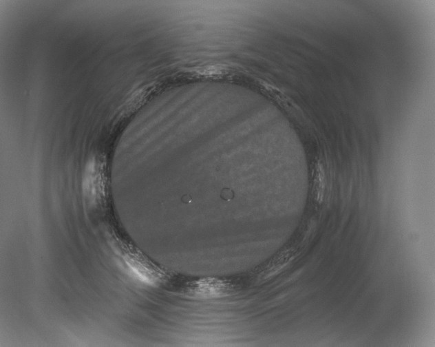 X0000080810612200701021317