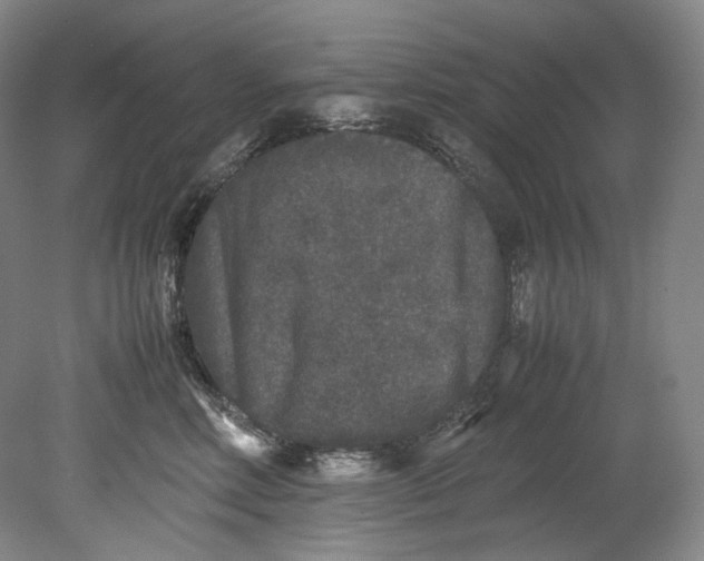 X0000080810618200701021317