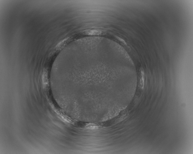 X0000080810620200701021317