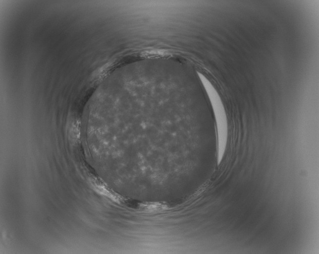 X0000080810621200701021317