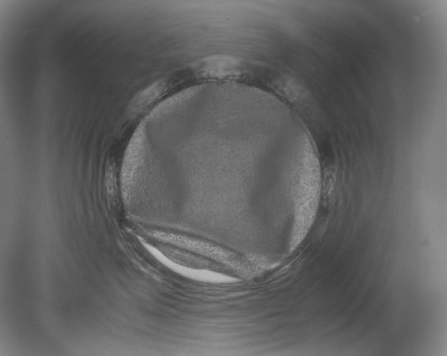 X0000080810623200701021317