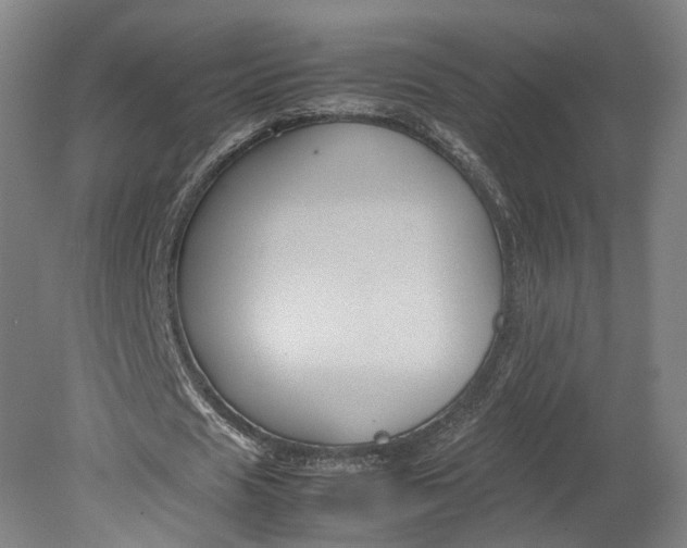 X0000080810625200701021316