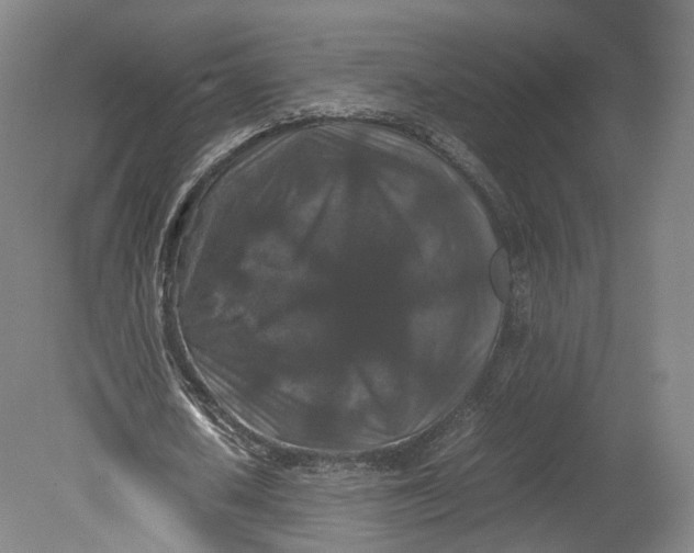 X0000080810626200701021316