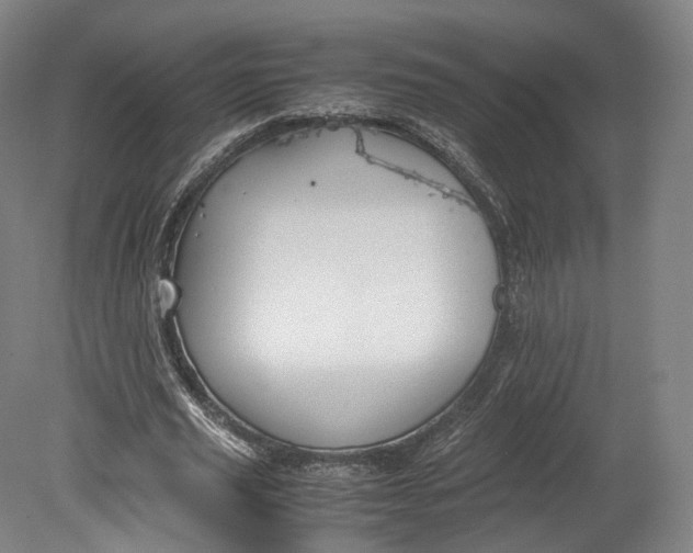 X0000080810629200701021316