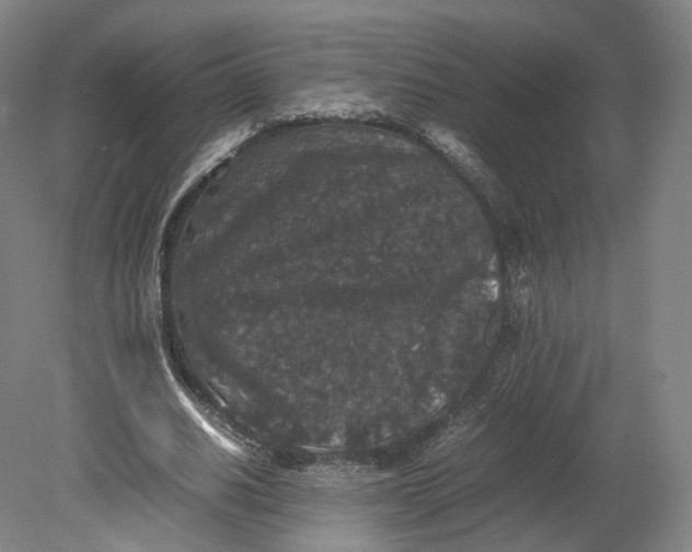 X0000080810630200701021316