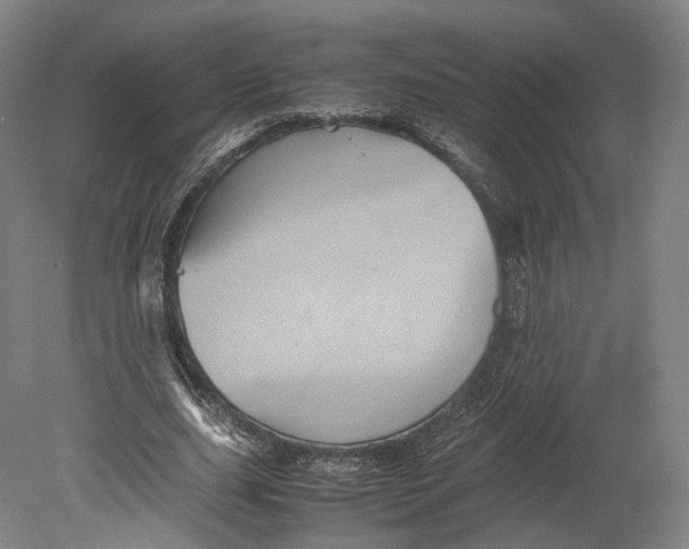 X0000080810631200701021316