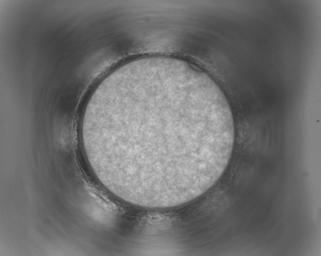 X0000080810632200701021316