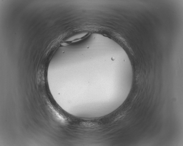 X0000080810633200701021316