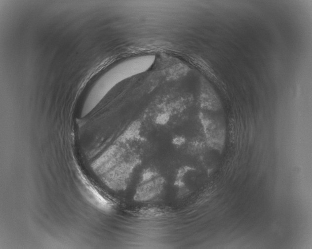 X0000080810634200701021316