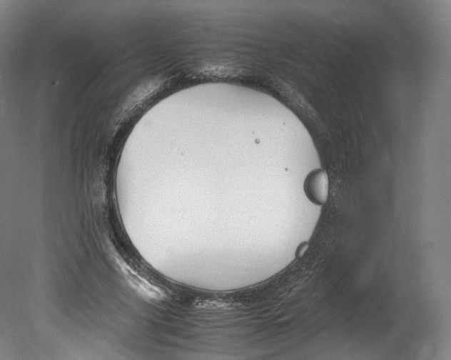 X0000080810635200701021316