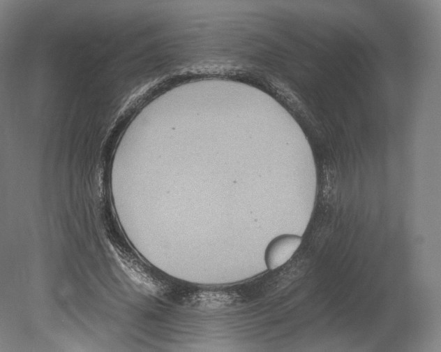 X0000080810636200701021317