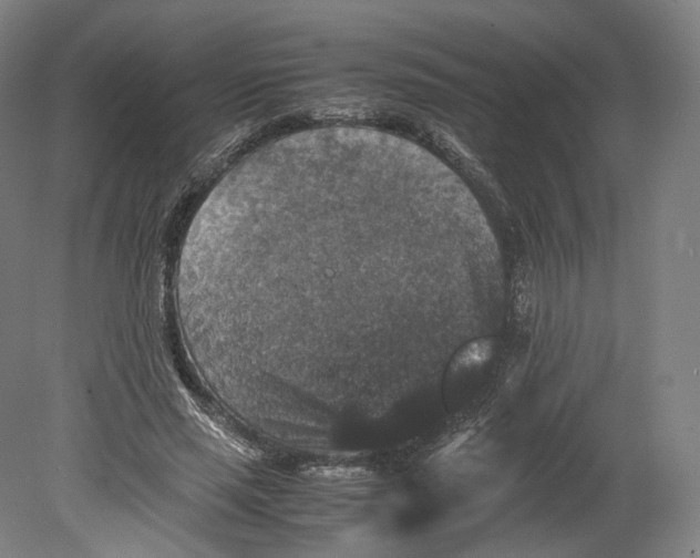 X0000080810637200701021317