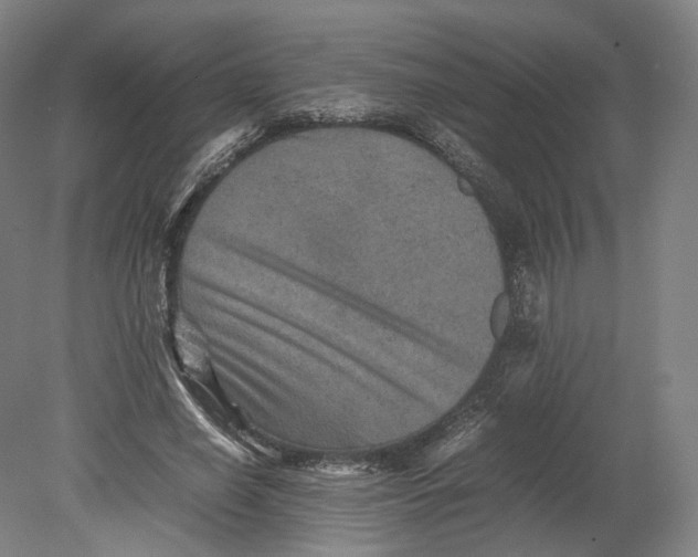 X0000080810638200701021317