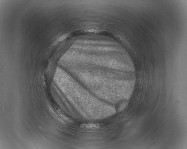 X0000080810639200701021317