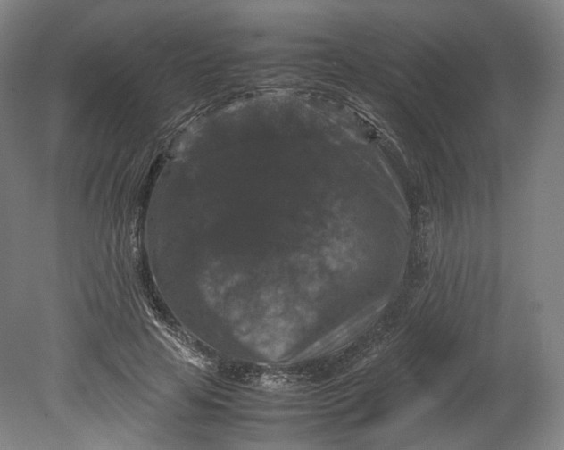 X0000080810641200701021317