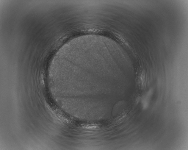 X0000080810643200701021317