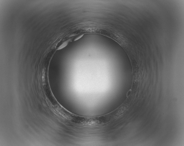 X0000080810646200701021317