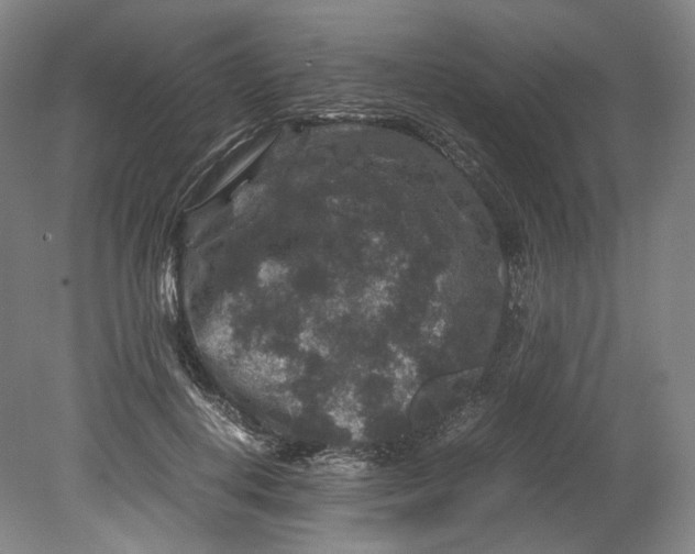 X0000080810648200701021317