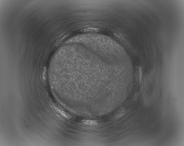 X0000080810649200701021317