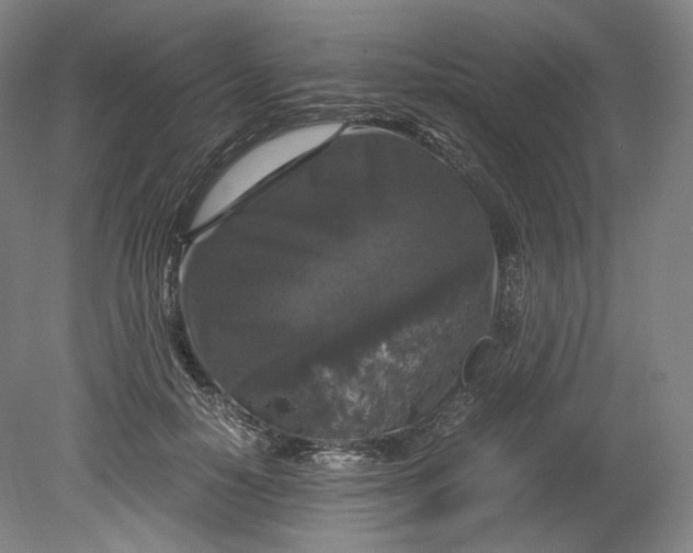 X0000080810650200701021317