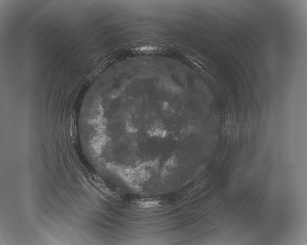 X0000080810651200701021317