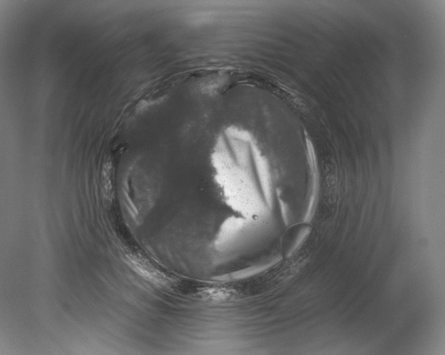 X0000080810654200701021317