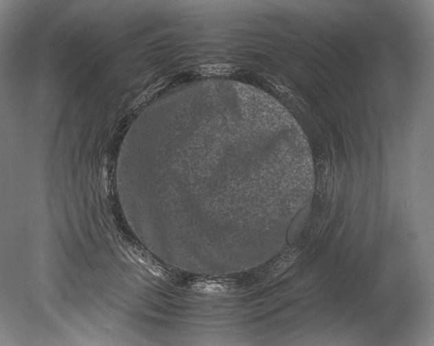 X0000080810655200701021317