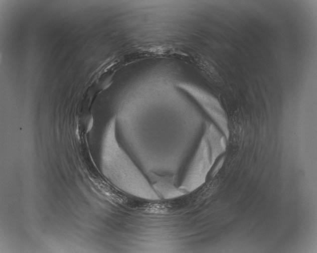 X0000080810656200701021317