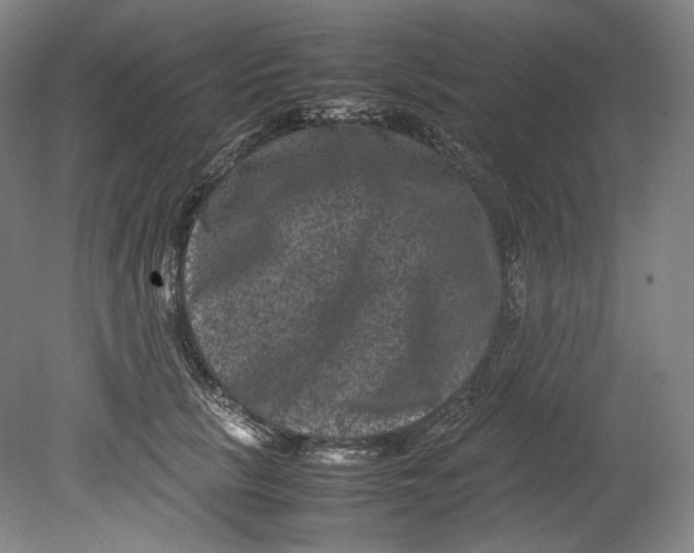 X0000080810657200701021317