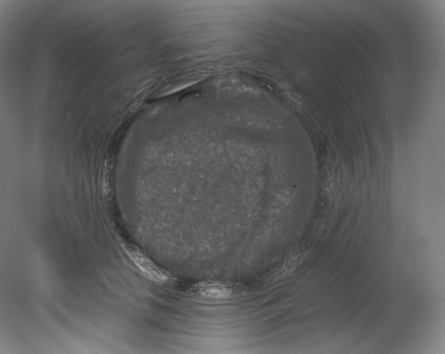 X0000080810658200701021317