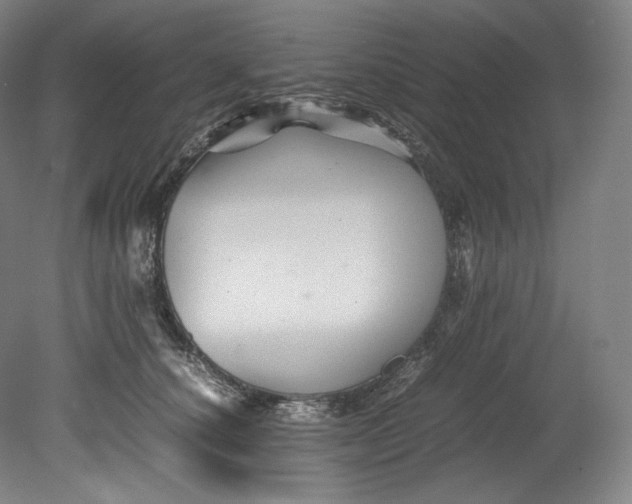 X0000080810660200701021317