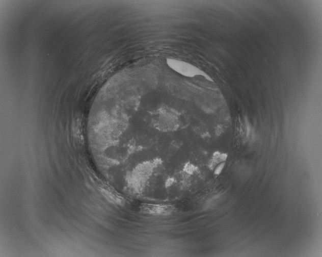 X0000080810663200701021317