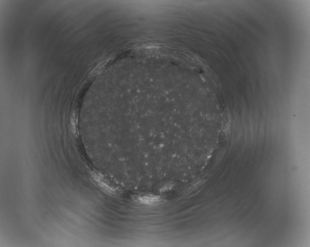 X0000080810669200701021317