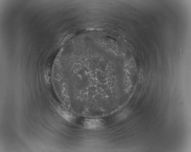 X0000080810671200701021317