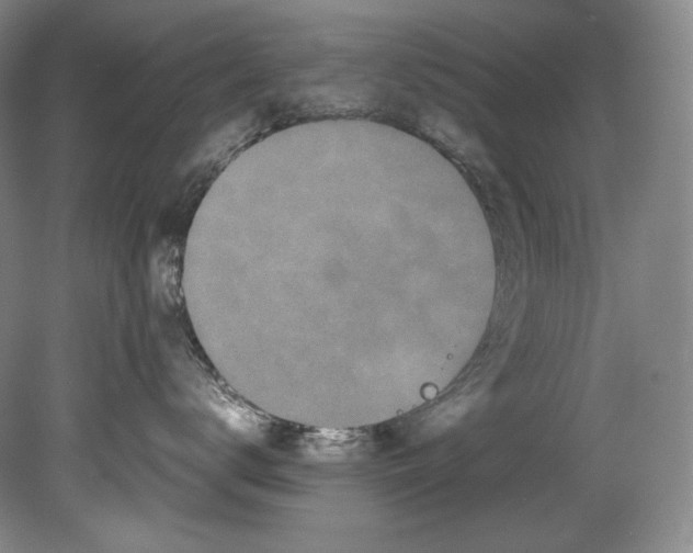 X0000080810672200701021317