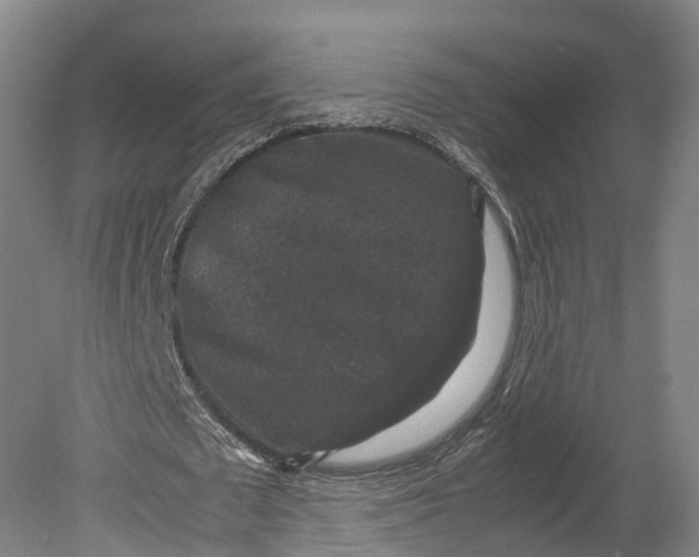 X0000080810673200701021316