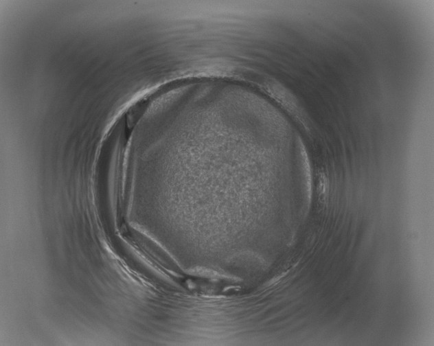 X0000080810676200701021316