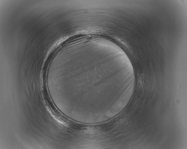 X0000080810678200701021316