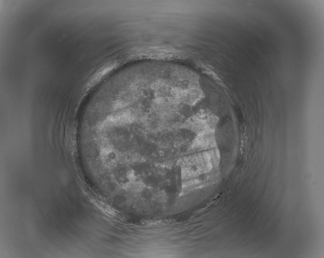 X0000080810679200701021316