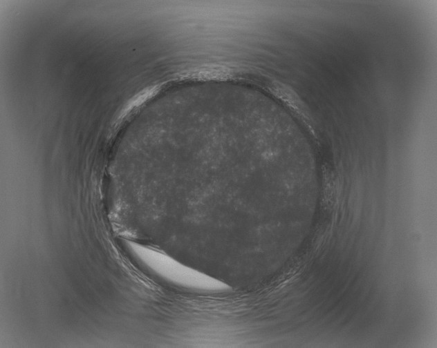 X0000080810681200701021316