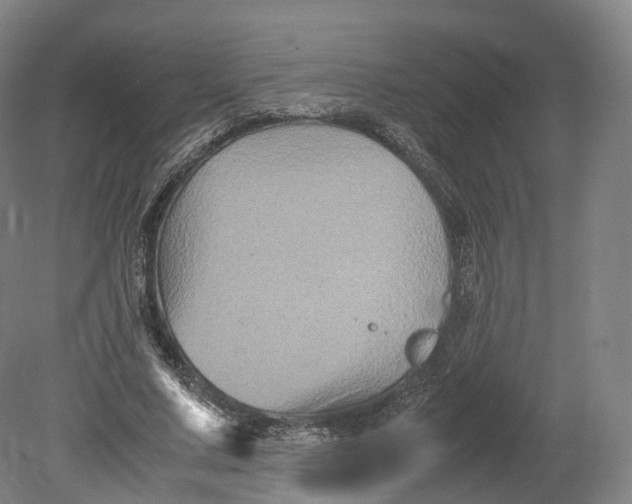 X0000080810683200701021316