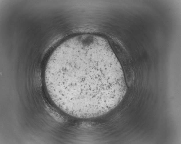 X0000080810684200701021316