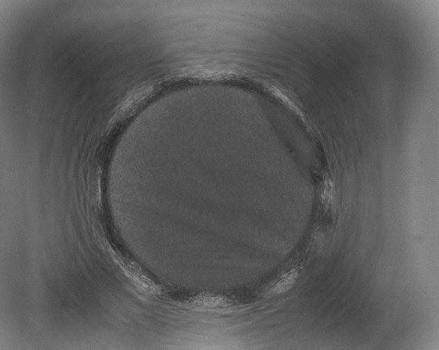 X0000080810685200701021316