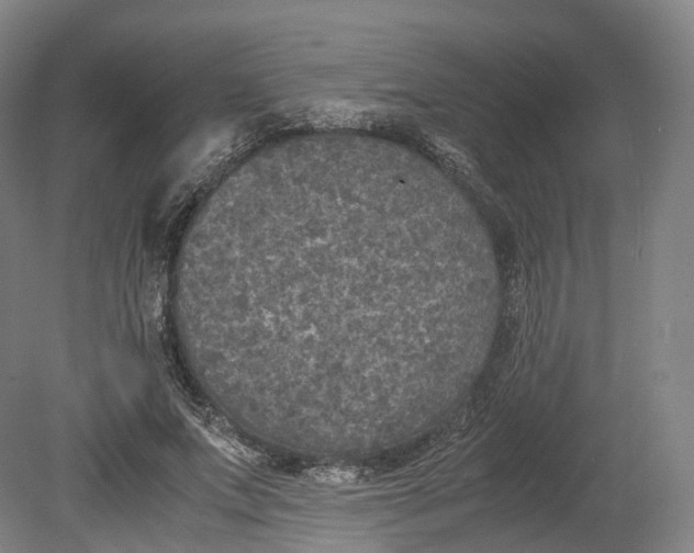 X0000080810687200701021316