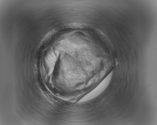 X0000080810688200701021316