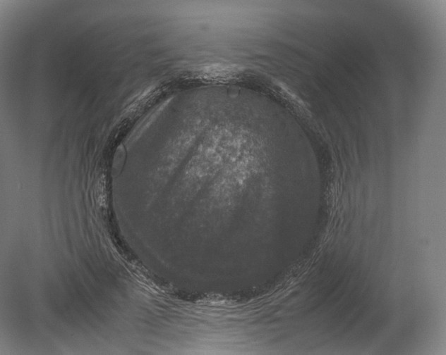 X0000080810689200701021316