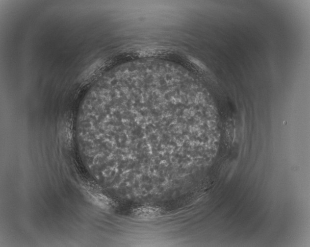 X0000080810691200701021316