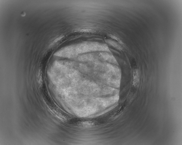 X0000080810692200701021316