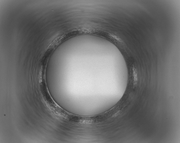 X0000080810694200701021316