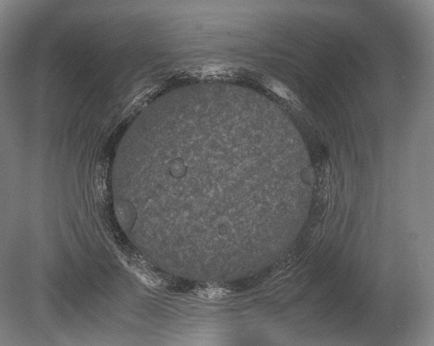 X0000080810695200701021316